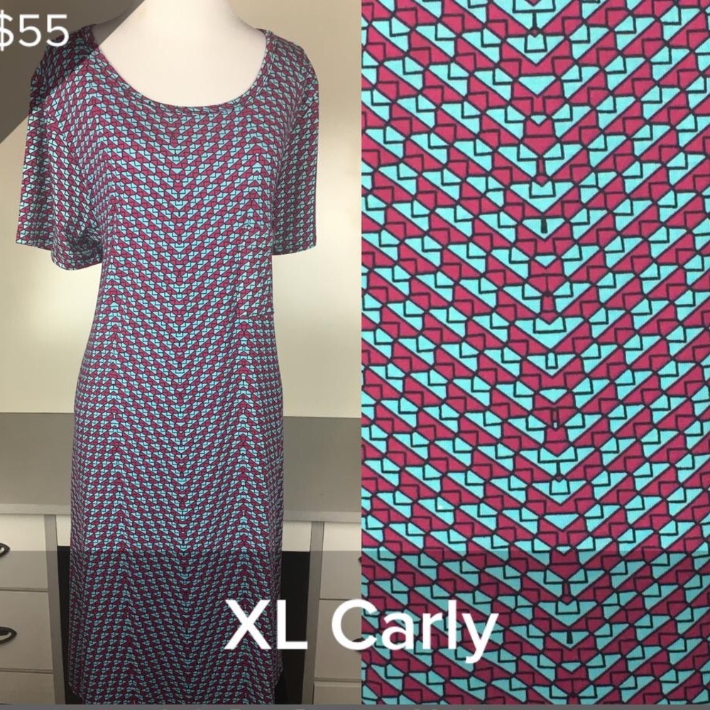 NWT LuLaRoe Carly Swing Dress